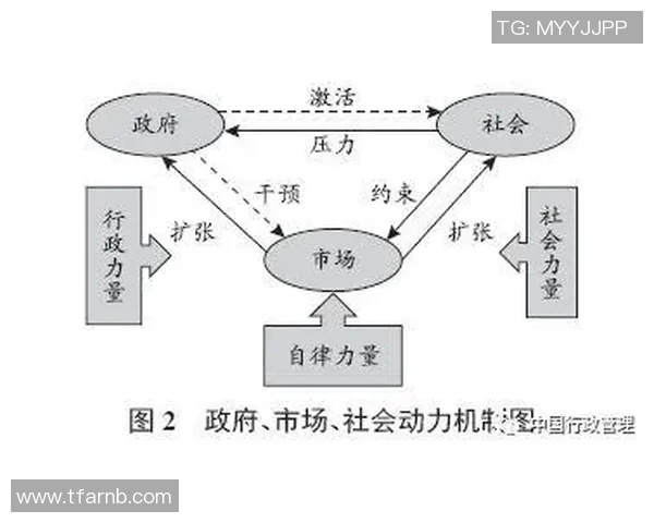 TES在精英赛中的比赛经验分析与表现评估 TES在精英赛中的比赛经验分析与表现评估
