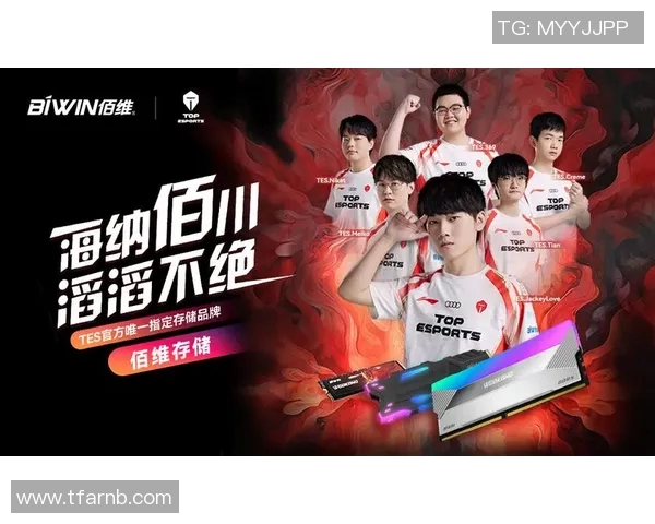 深入探讨TES战队在比赛中的实力表现与数据分析结果