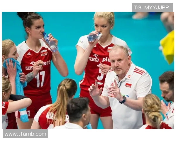 上海排球队在精英赛中的力量展现与战术分析