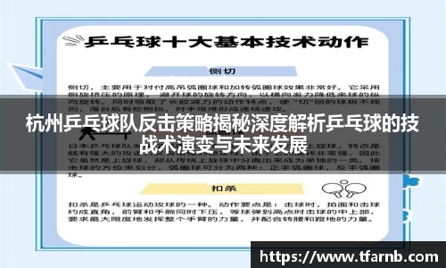 杭州乒乓球队反击策略揭秘深度解析乒乓球的技战术演变与未来发展