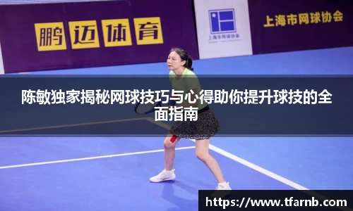 陈敏独家揭秘网球技巧与心得助你提升球技的全面指南
