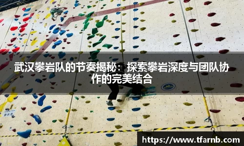 武汉攀岩队的节奏揭秘：探索攀岩深度与团队协作的完美结合