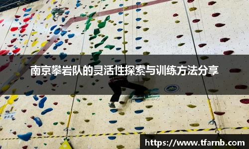 南京攀岩队的灵活性探索与训练方法分享